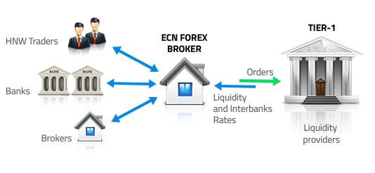 True ecn forex brokers