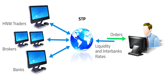 What is a stp forex broker